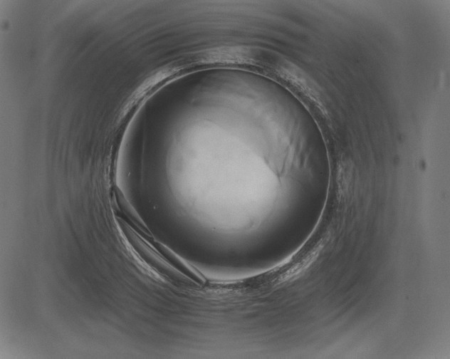 X0000083621033200702121135