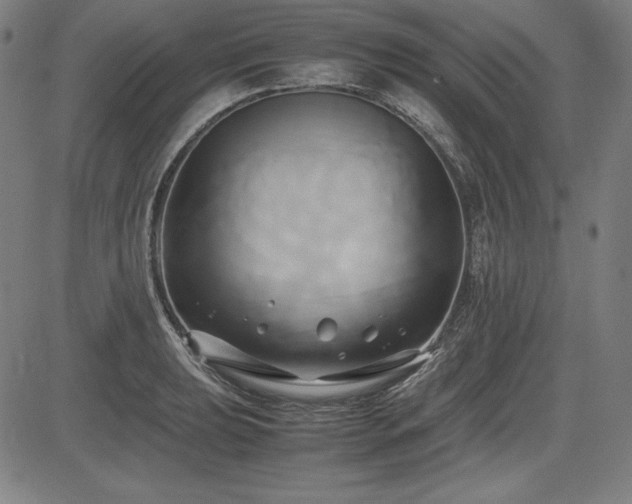 X0000083621039200702121135