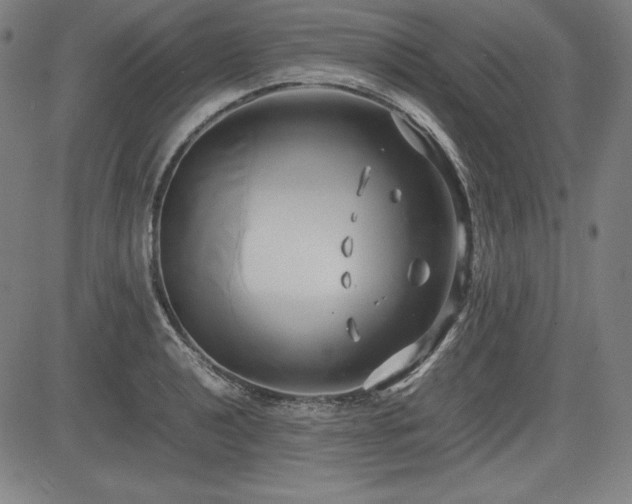 X0000083621040200702121135