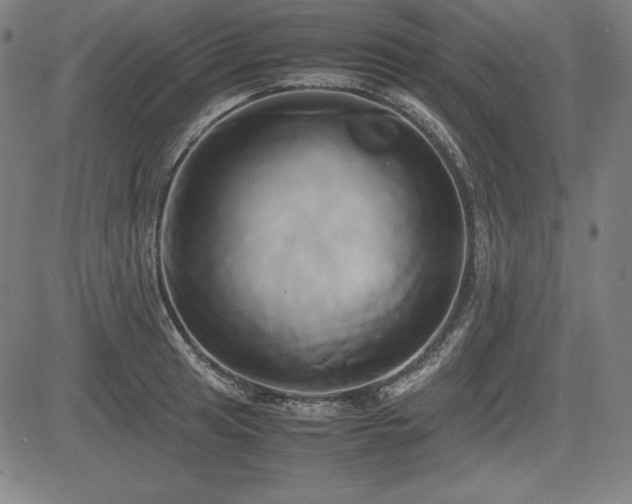 X0000083621041200702121135