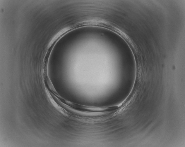 X0000083621042200702121135