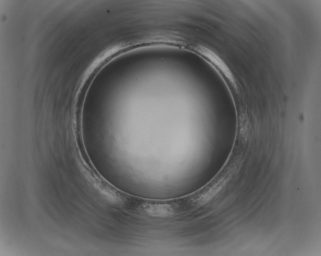 X0000083621043200702121135