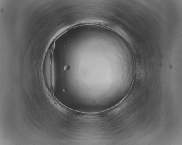 X0000083621044200702121135