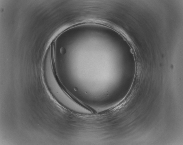 X0000083621048200702121135
