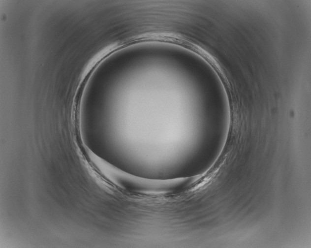 X0000083621050200702121135