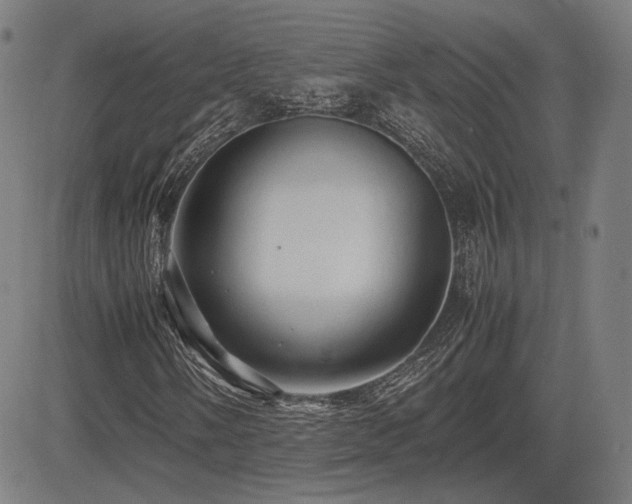 X0000083621058200702121135