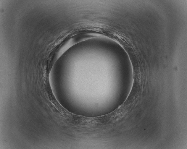 X0000083621061200702121135