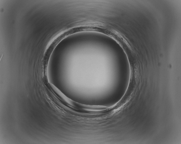 X0000083621069200702121135