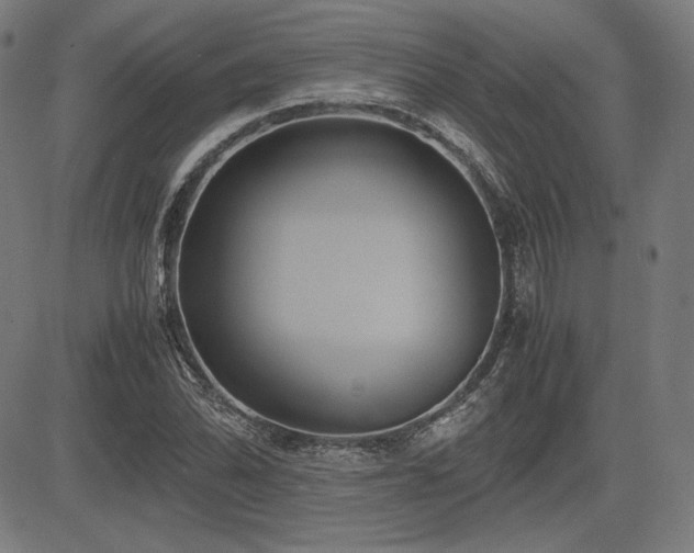 X0000083621070200702121135