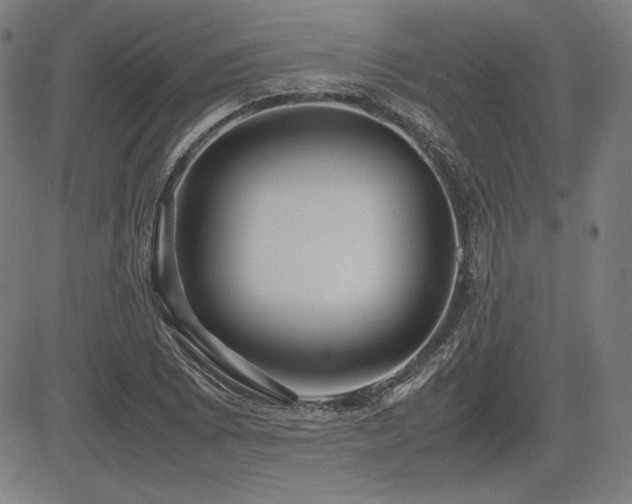 X0000083621073200702121134