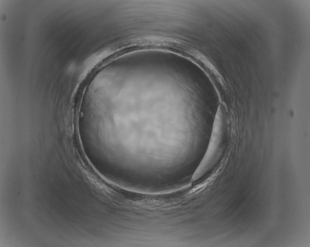 X0000083621075200702121134