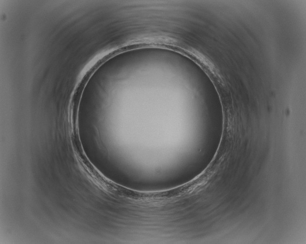 X0000083621078200702121134
