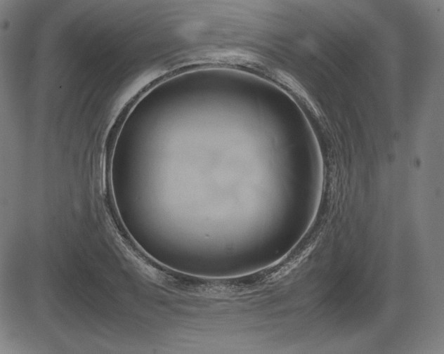 X0000083621079200702121134