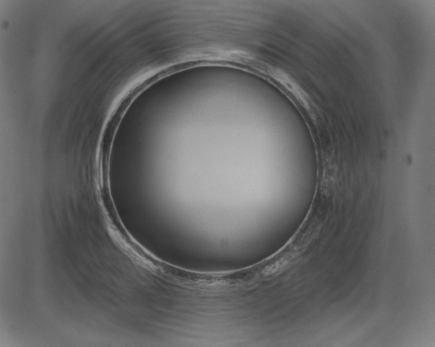 X0000083621080200702121134