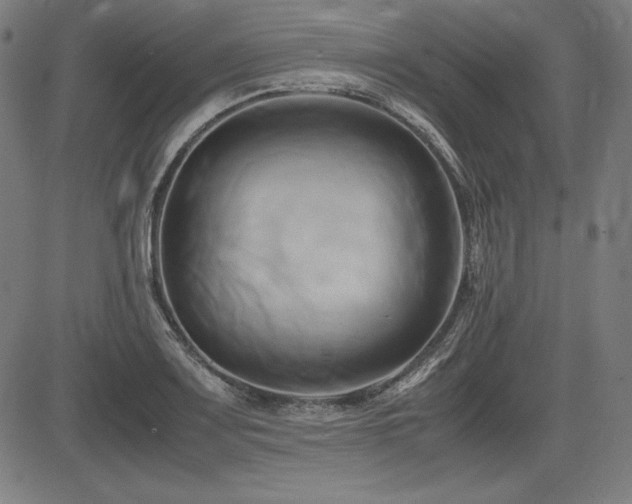X0000083621083200702121134