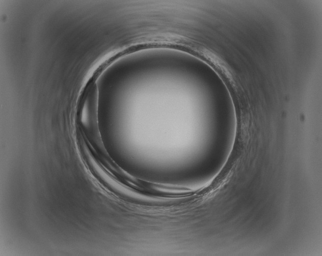 X0000083621085200702121134