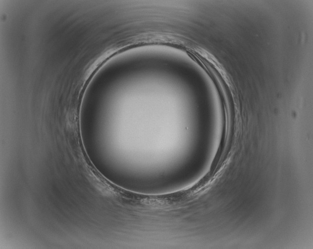 X0000083621089200702121134
