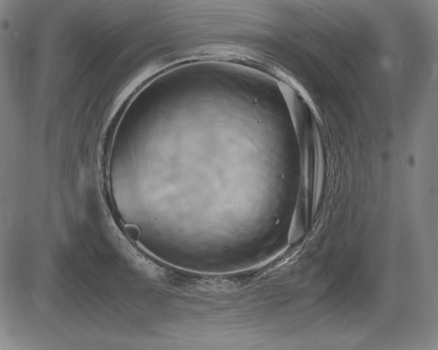 X0000083621091200702121134