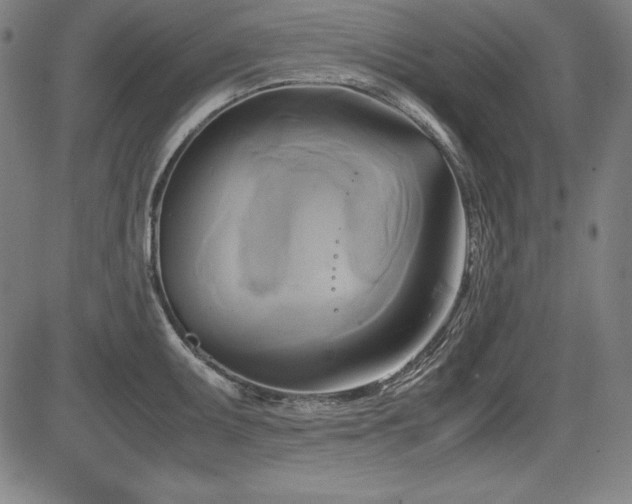 X0000083621095200702121134