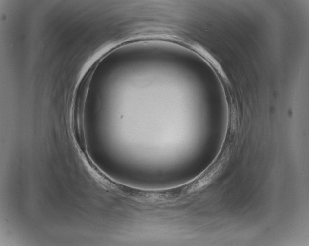 X0000083621101200702121134