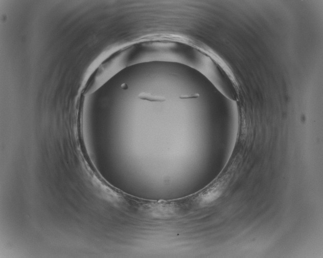 X0000083621102200702121134