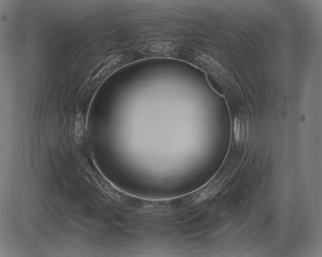 X0000083621107200702121133