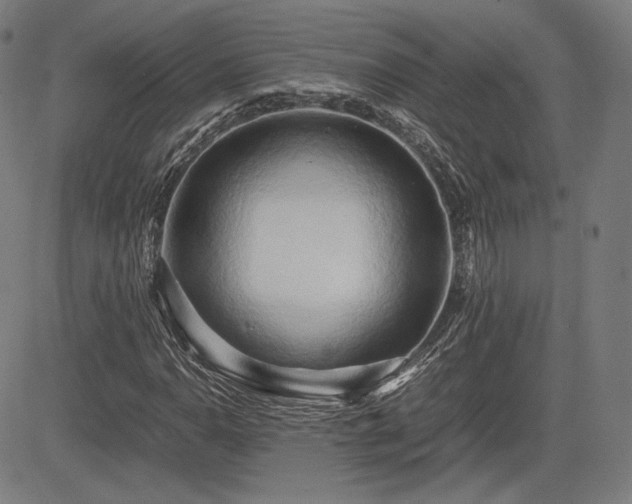 X0000083621110200702121133