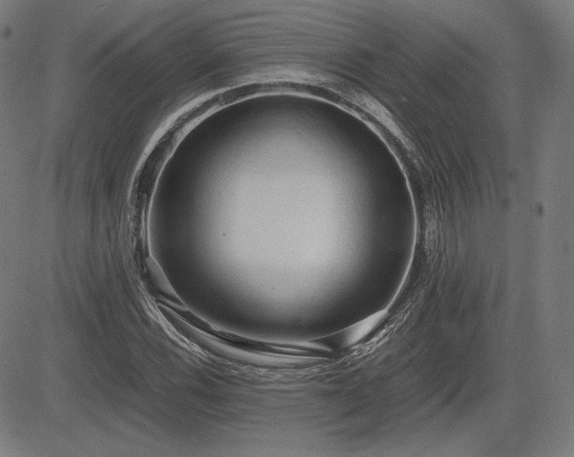 X0000083621116200702121133