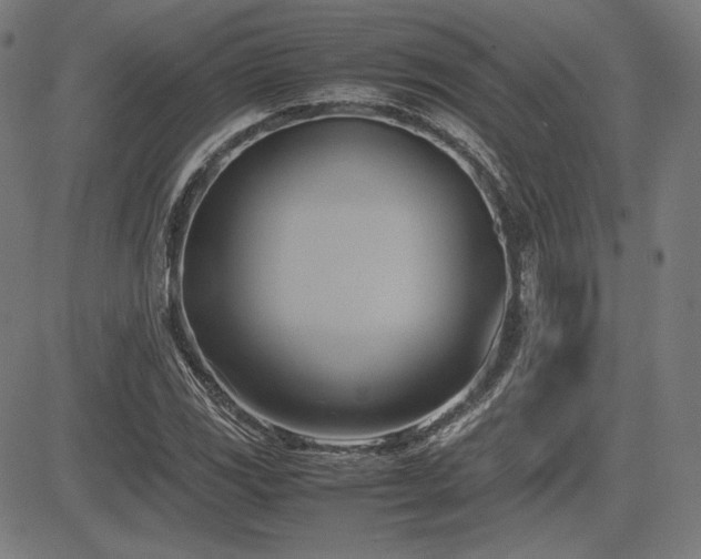 X0000083621117200702121133