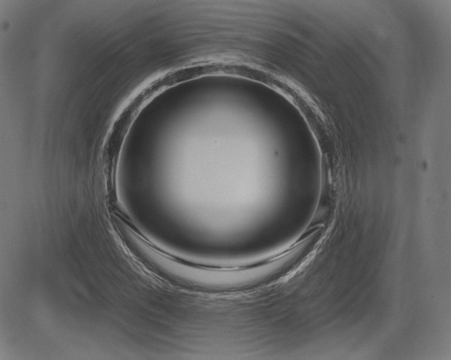 X0000083621118200702121133
