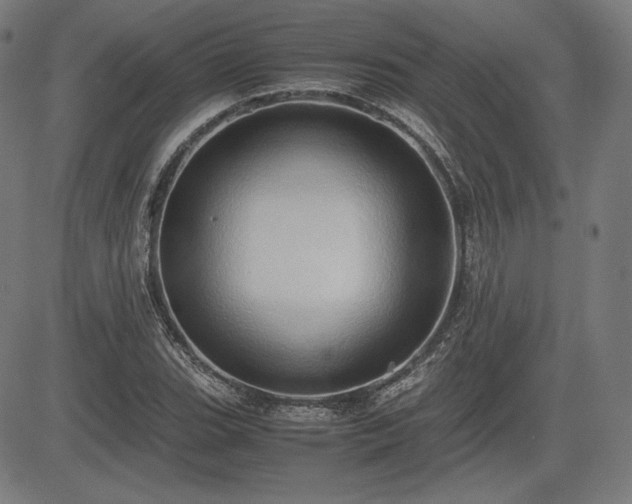 X0000083621119200702121133
