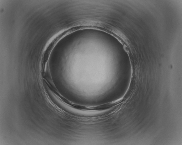 X0000083621120200702121133