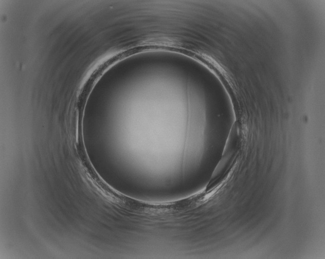 X0000083621123200702121133