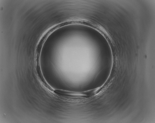 X0000083621124200702121134