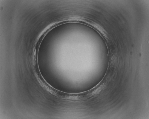 X0000083621126200702121134