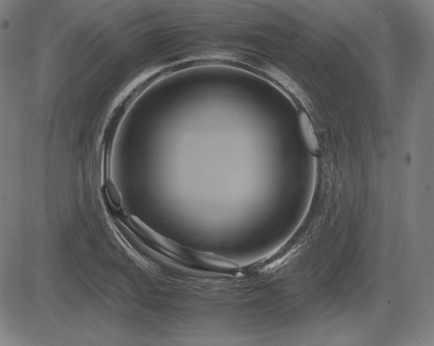 X0000083621127200702121134