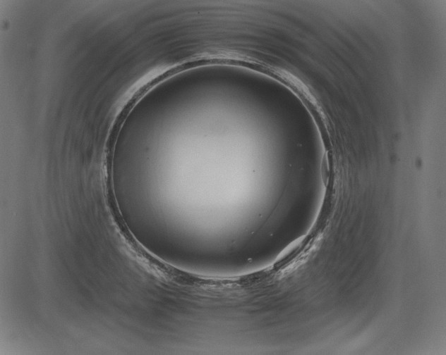 X0000083621133200702121134