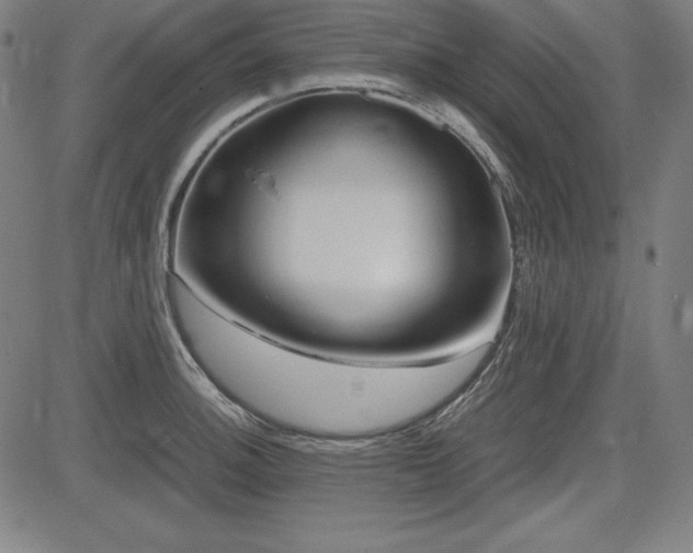 X0000083621140200702121134