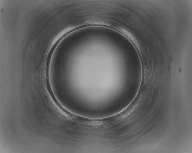 X0000083621141200702121134