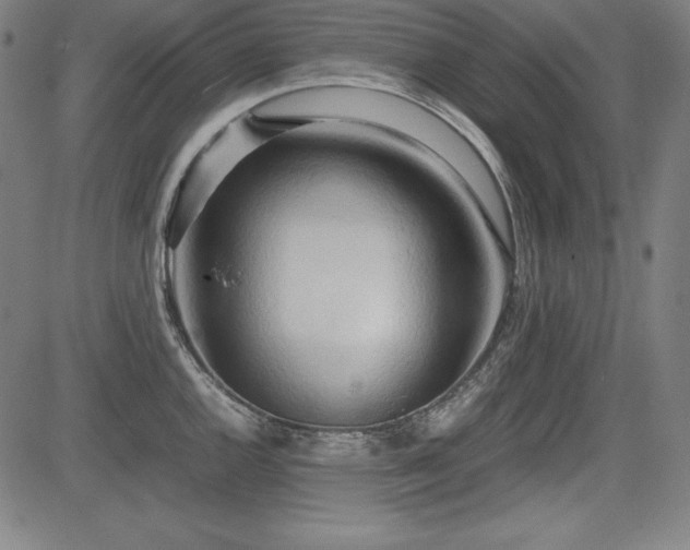 X0000083621144200702121134