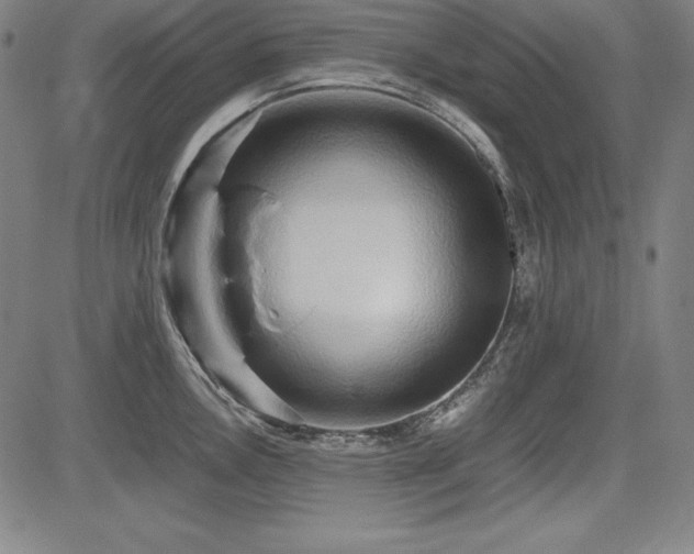 X0000083621146200702121134