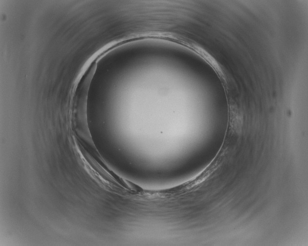 X0000083621148200702121134