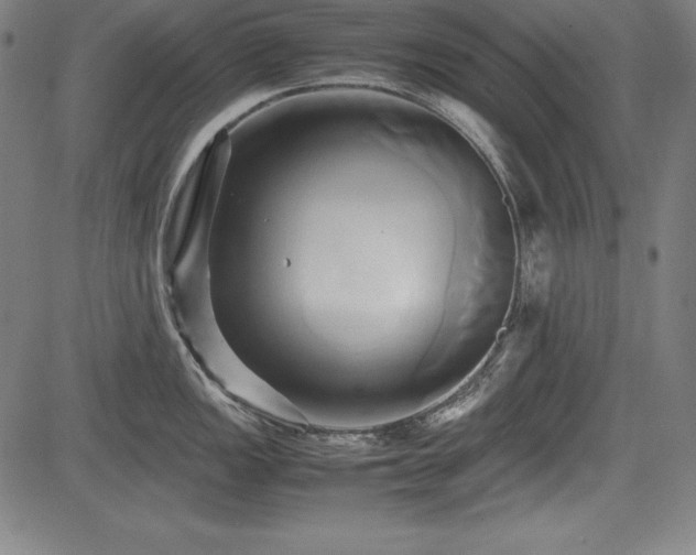 X0000083621149200702121134