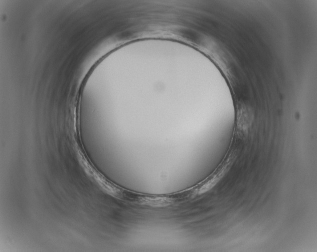 X0000083621150200702121134