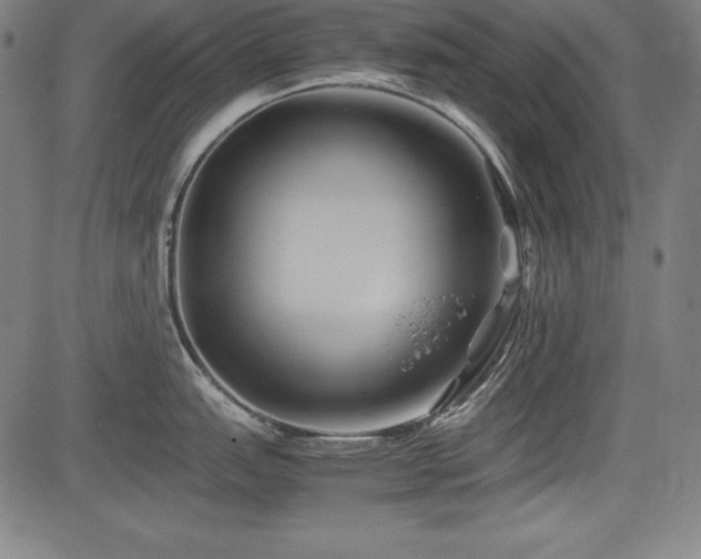 X0000083621151200702121134