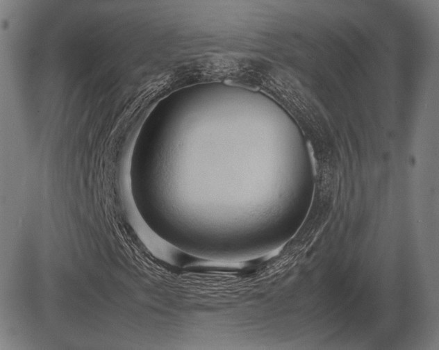 X0000083621153200702121133