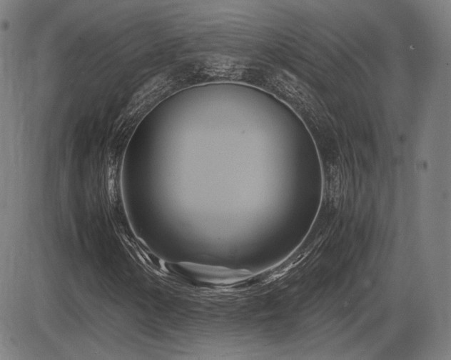 X0000083621154200702121133