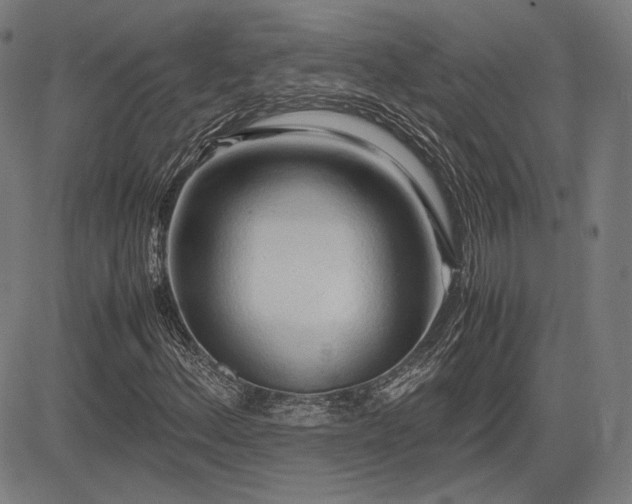 X0000083621156200702121133