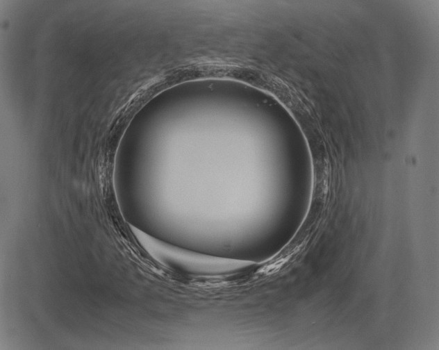 X0000083621157200702121133