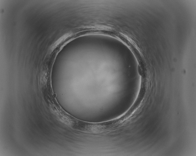 X0000083621163200702121133